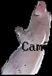 Crop