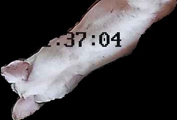 Crop