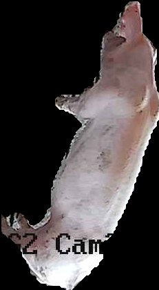 Crop