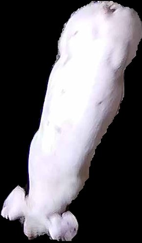 Crop