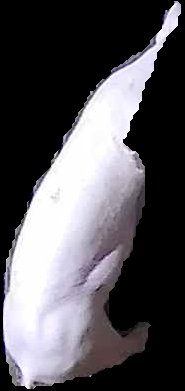 Crop