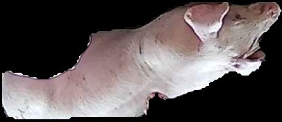 Crop