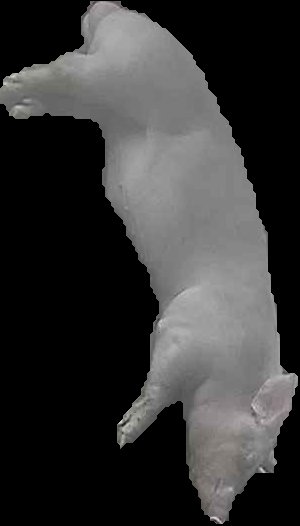 Crop