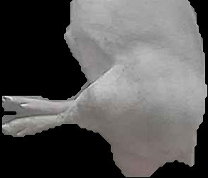 Crop