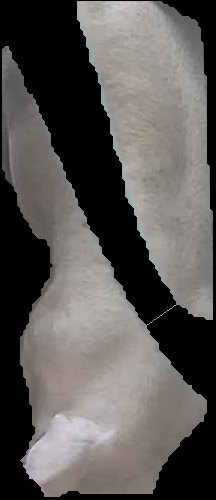 Crop