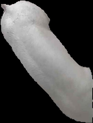 Crop