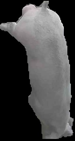 Crop
