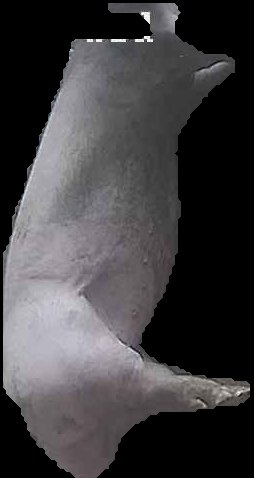 Crop