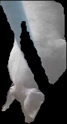Crop