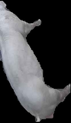 Crop