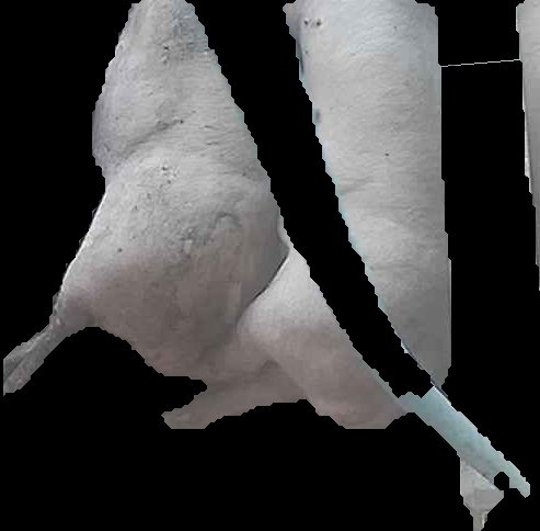 Crop
