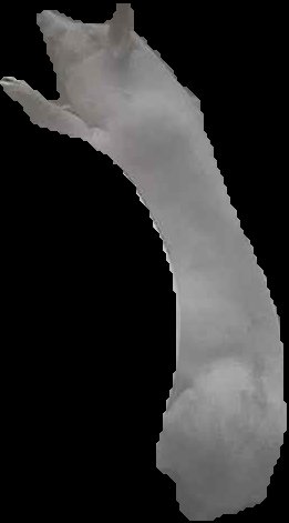 Crop
