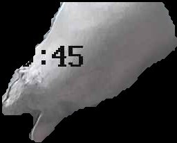 Crop
