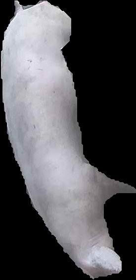 Crop