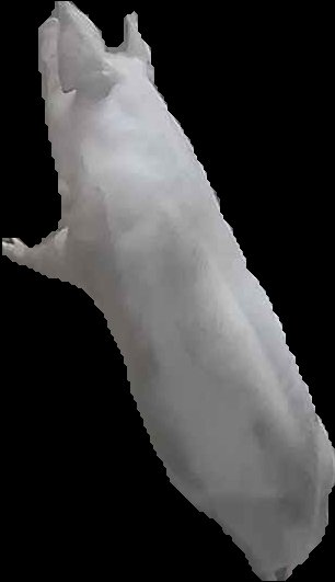 Crop