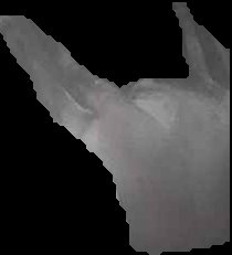 Crop