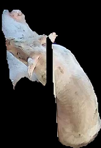Crop
