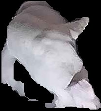 Crop