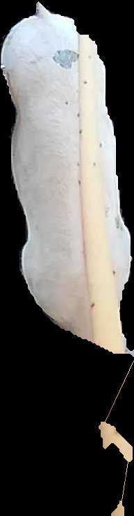 Crop