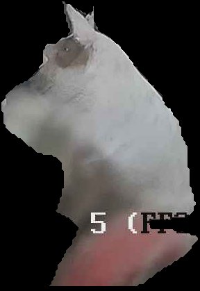 Crop