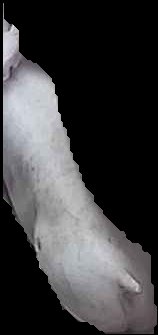 Crop