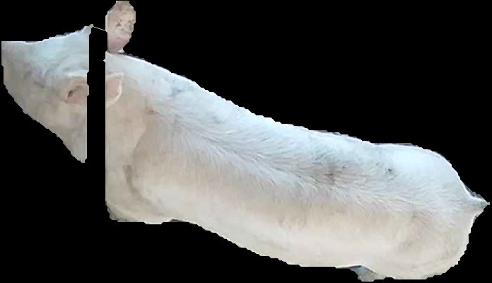 Crop