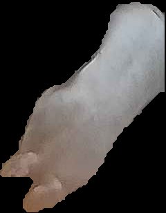 Crop