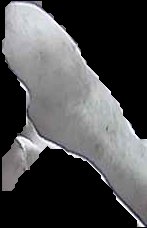Crop