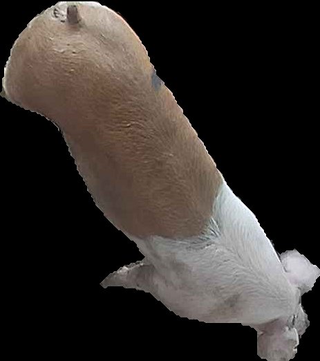 Crop