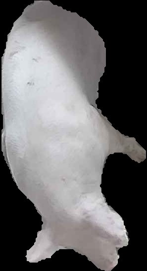 Crop
