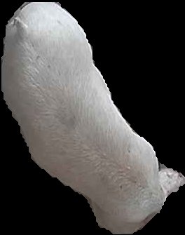 Crop