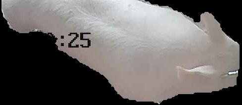 Crop