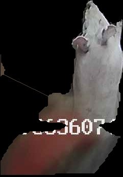 Crop