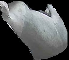 Crop