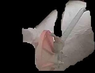 Crop