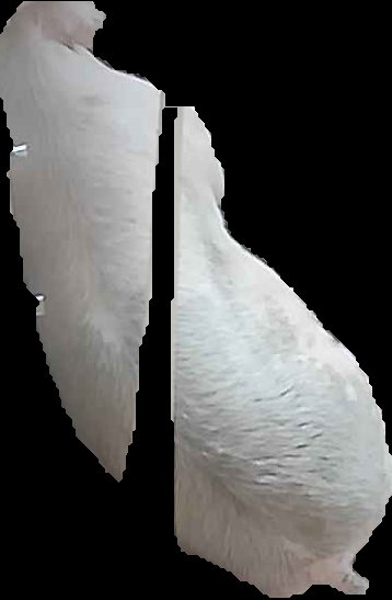 Crop