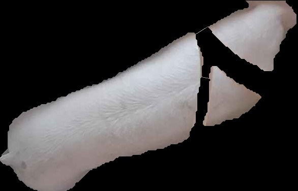 Crop