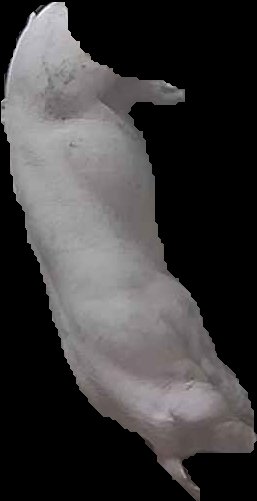Crop