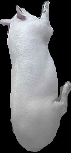 Crop