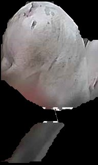 Crop