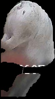 Crop