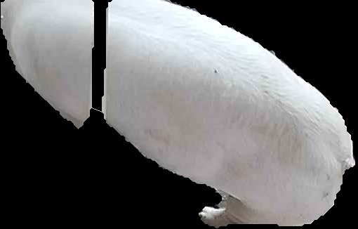 Crop