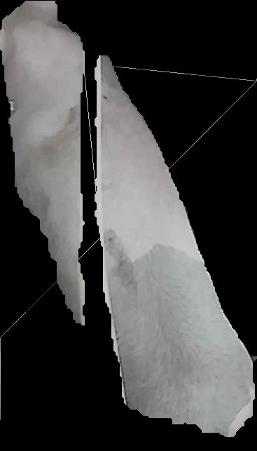 Crop