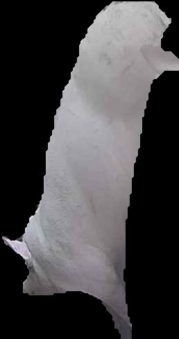 Crop