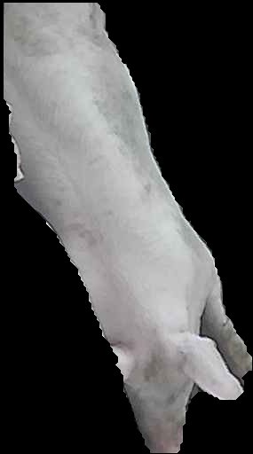 Crop