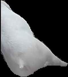 Crop