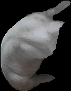 Crop