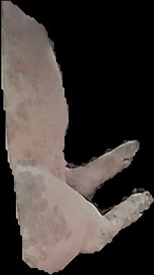 Crop