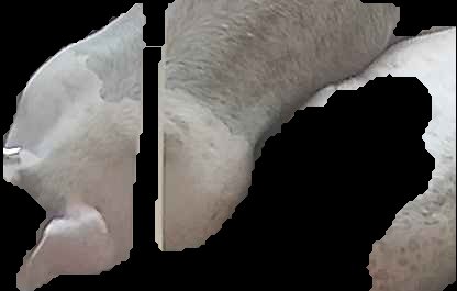 Crop