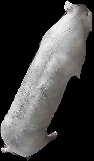 Crop